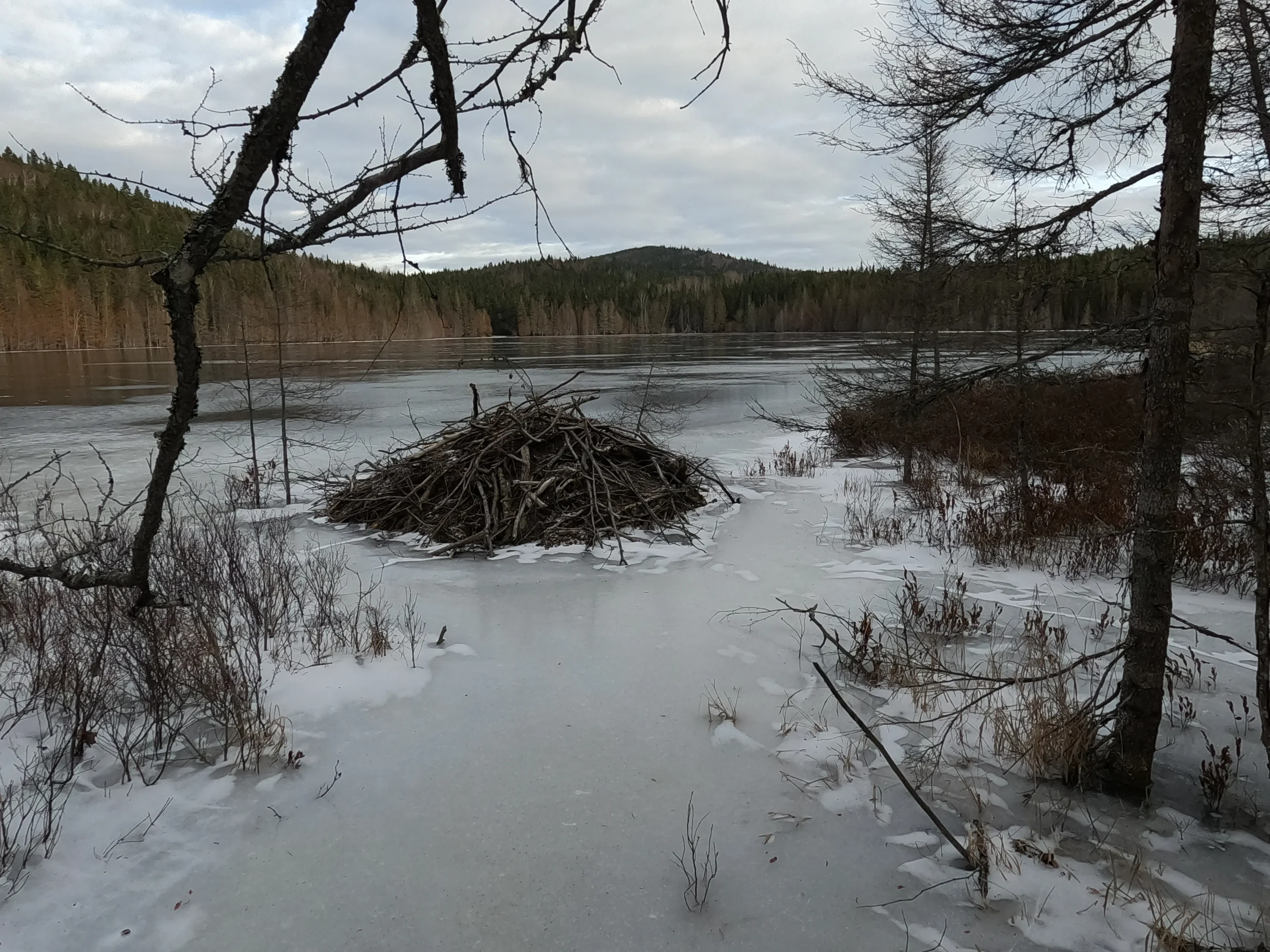 Sauvetage du Lac Paradis