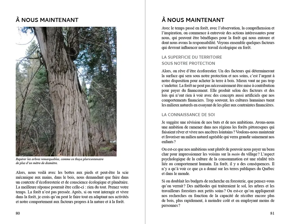Page du livre L'écoforesterie de Bob Eichenberger